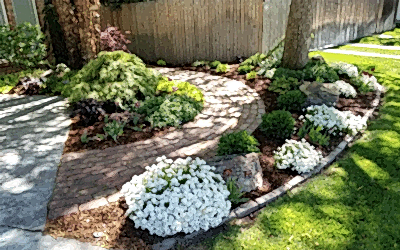 How to Choose the Right Plants for Your Garden in Meridian