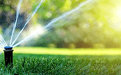 Maximizing Water Efficiency with Sprinkler Systems in Boise